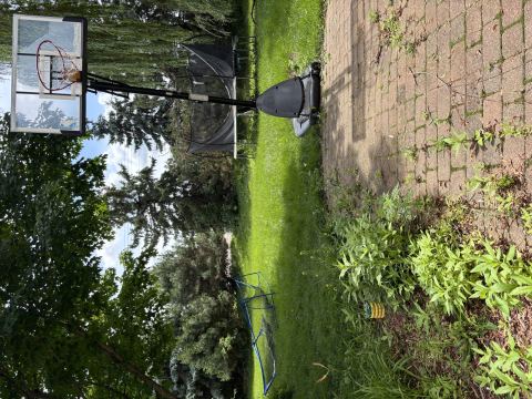 Yard photo for a volunteer request in Prior Lake, MN.