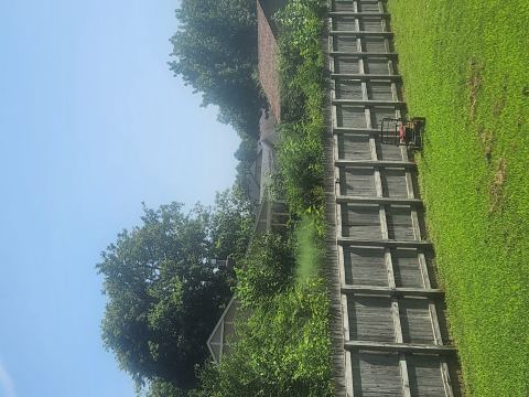 Yard photo for a volunteer request in Tulsa, OK.