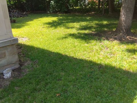 Yard photo for a volunteer request in Sapulpa, OK.