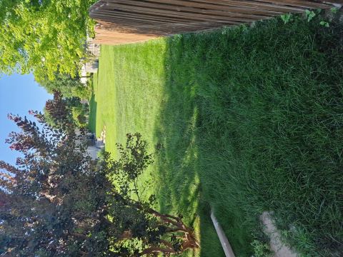 Yard photo for a volunteer request in Elkhorn, NE.