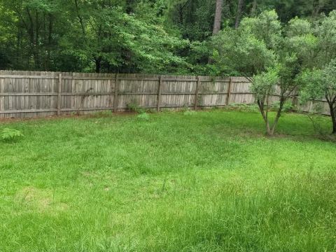 Yard photo for a volunteer request in Cameron, NC.