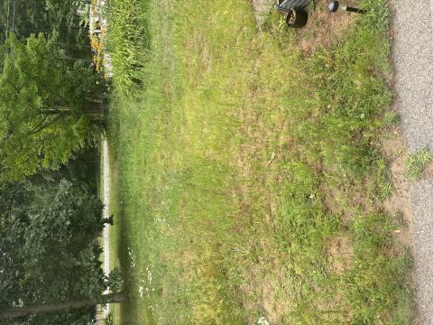 Yard photo for a volunteer request in Ballston Spa, NY.