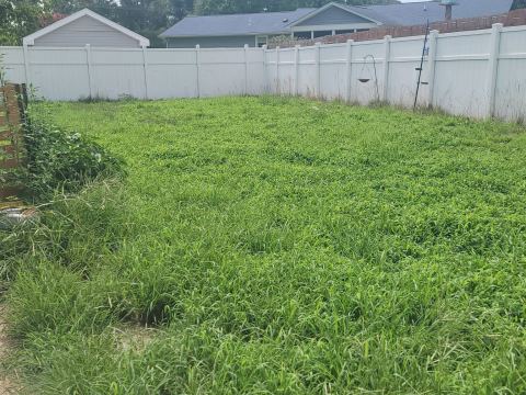 Yard photo for a volunteer request in Seaford, DE.