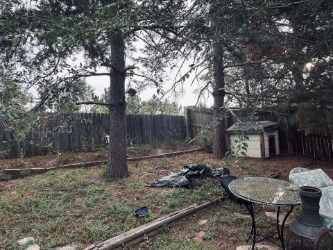 Yard photo for a volunteer request in Fort Collins, CO.