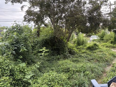 Yard photo for a volunteer request in Middle River, MD.