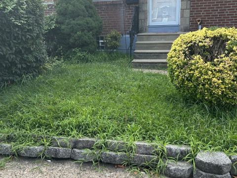 Yard photo for a volunteer request in Philadelphia, PA.