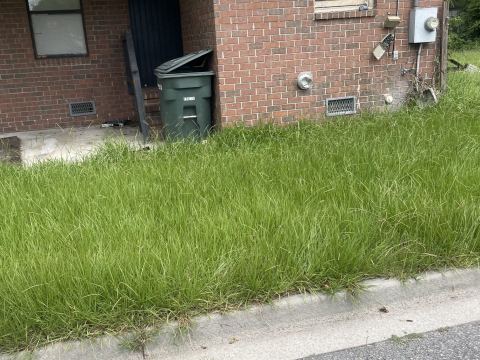 Yard photo for a volunteer request in savannah, GA.