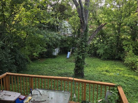 Yard photo for a volunteer request in Knoxville, TN.