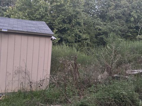 Yard photo for a volunteer request in Henderson, AR.