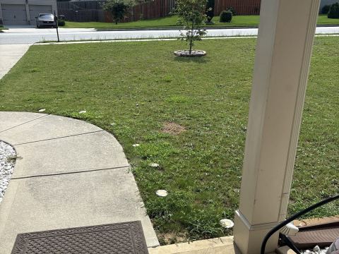 Yard photo for a volunteer request in Douglasville, GA.