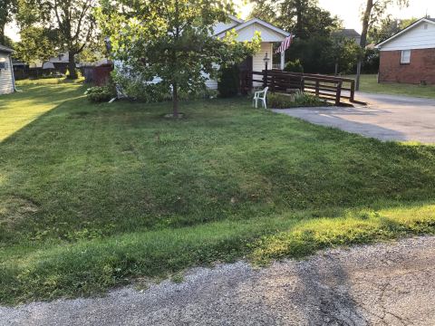 Yard photo for a volunteer request in Indianapolis, IN.