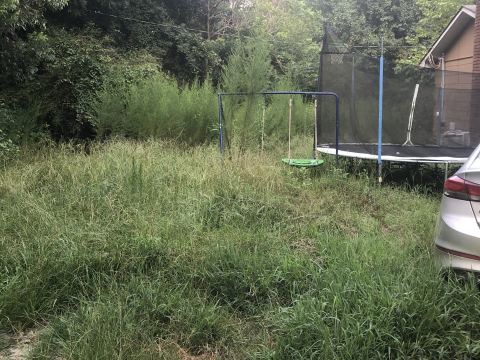 Yard photo for a volunteer request in Newnan, GA.