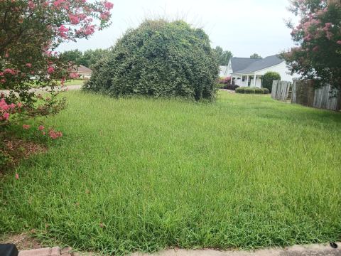 Yard photo for a volunteer request in Warner Robins, GA.