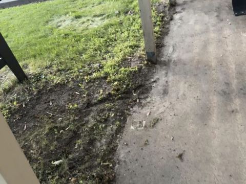 Yard photo for a volunteer request in Minneapolis, MN.
