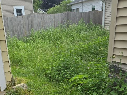 Yard photo for a volunteer request in Oshkosh, WI.