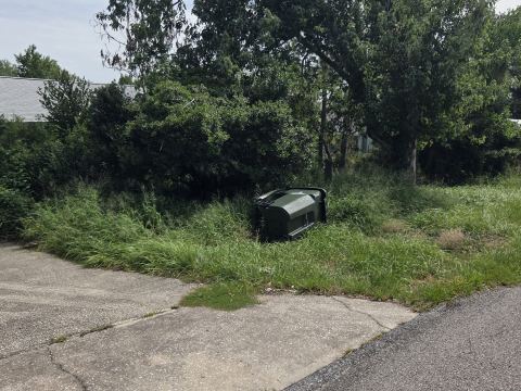 Yard photo for a volunteer request in Clermont, FL.