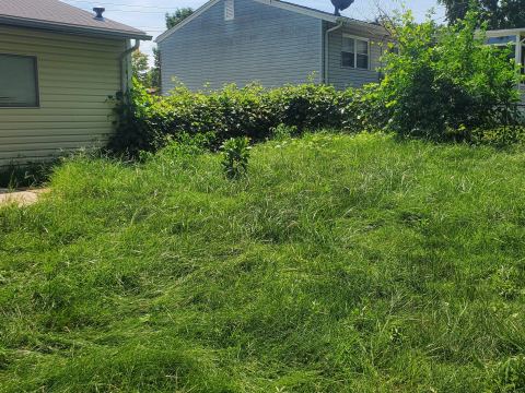 Yard photo for a volunteer request in St Charles, MO.