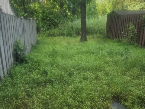Yard photo for a volunteer request in Rockville, MD.