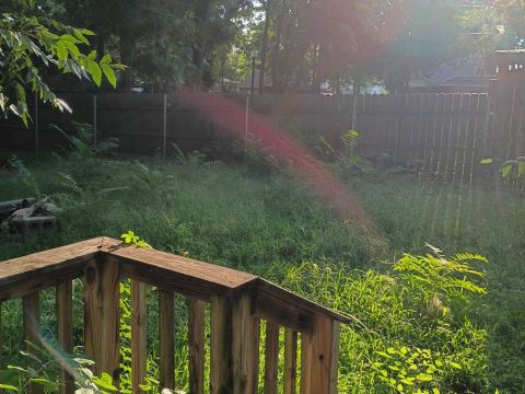 Yard photo for a volunteer request in Norman, OK.
