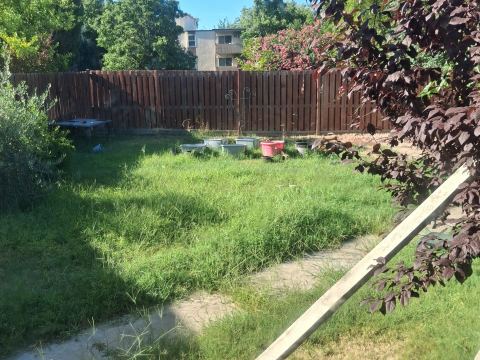 Yard photo for a volunteer request in Sacramento, CA.