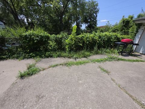 Yard photo for a volunteer request in Detroit, MI.