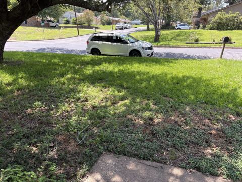 Yard photo for a volunteer request in Tyler, TX.