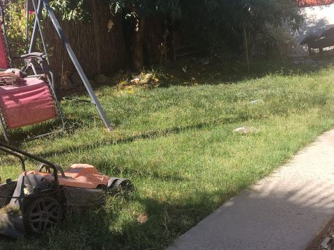 Yard photo for a volunteer request in Gustine, CA.