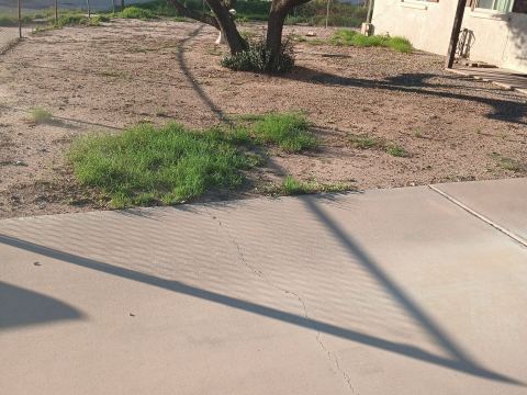 Yard photo for a volunteer request in Tucson, AZ.