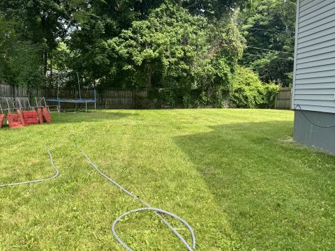 Yard photo for a volunteer request in Rochester, NY.