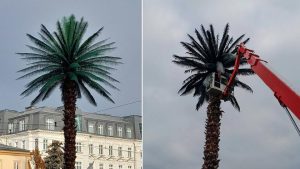 Poland TV  (Toteraz)