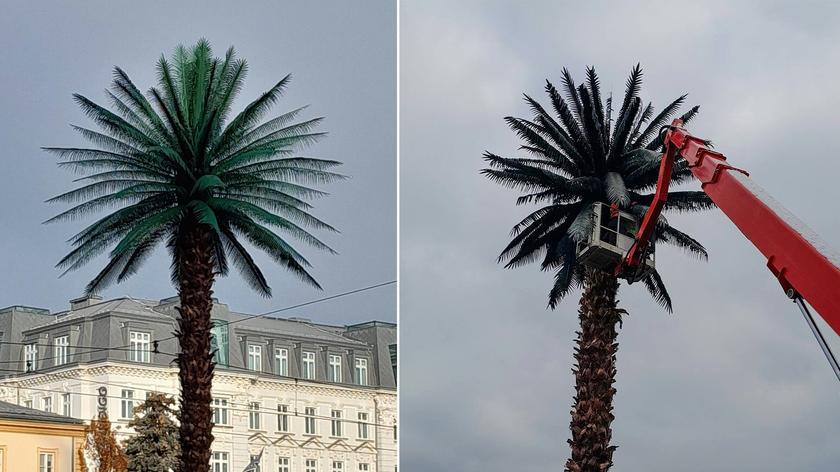 Poland TV  (Toteraz)