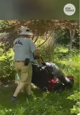 The Providence Journal