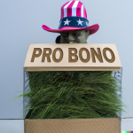 Pro Bono Landscaping