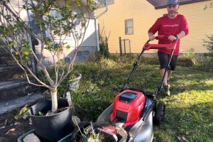 Japan Daily News: Mainichi Shimbun (January 2024)