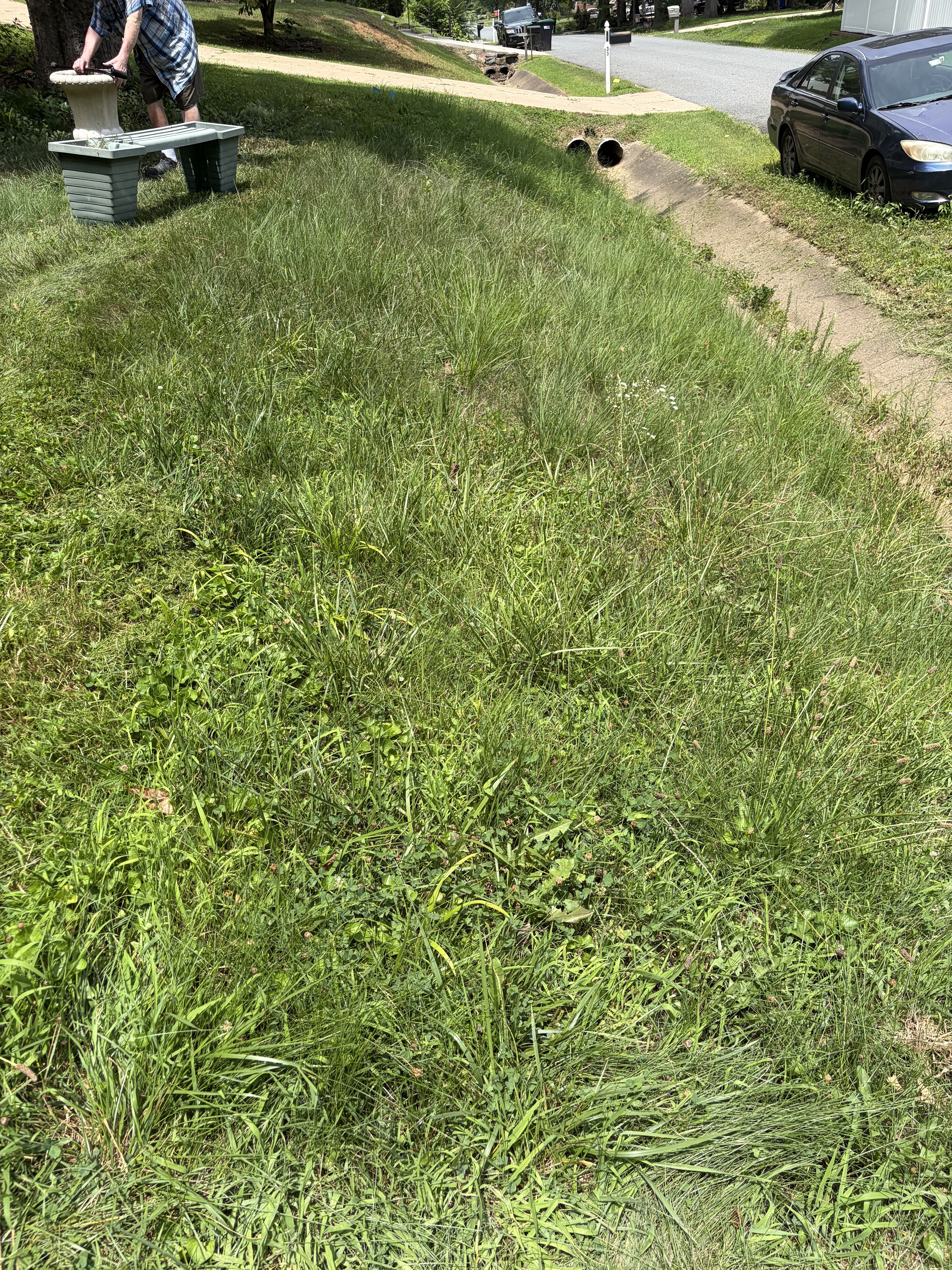 Before lawn care