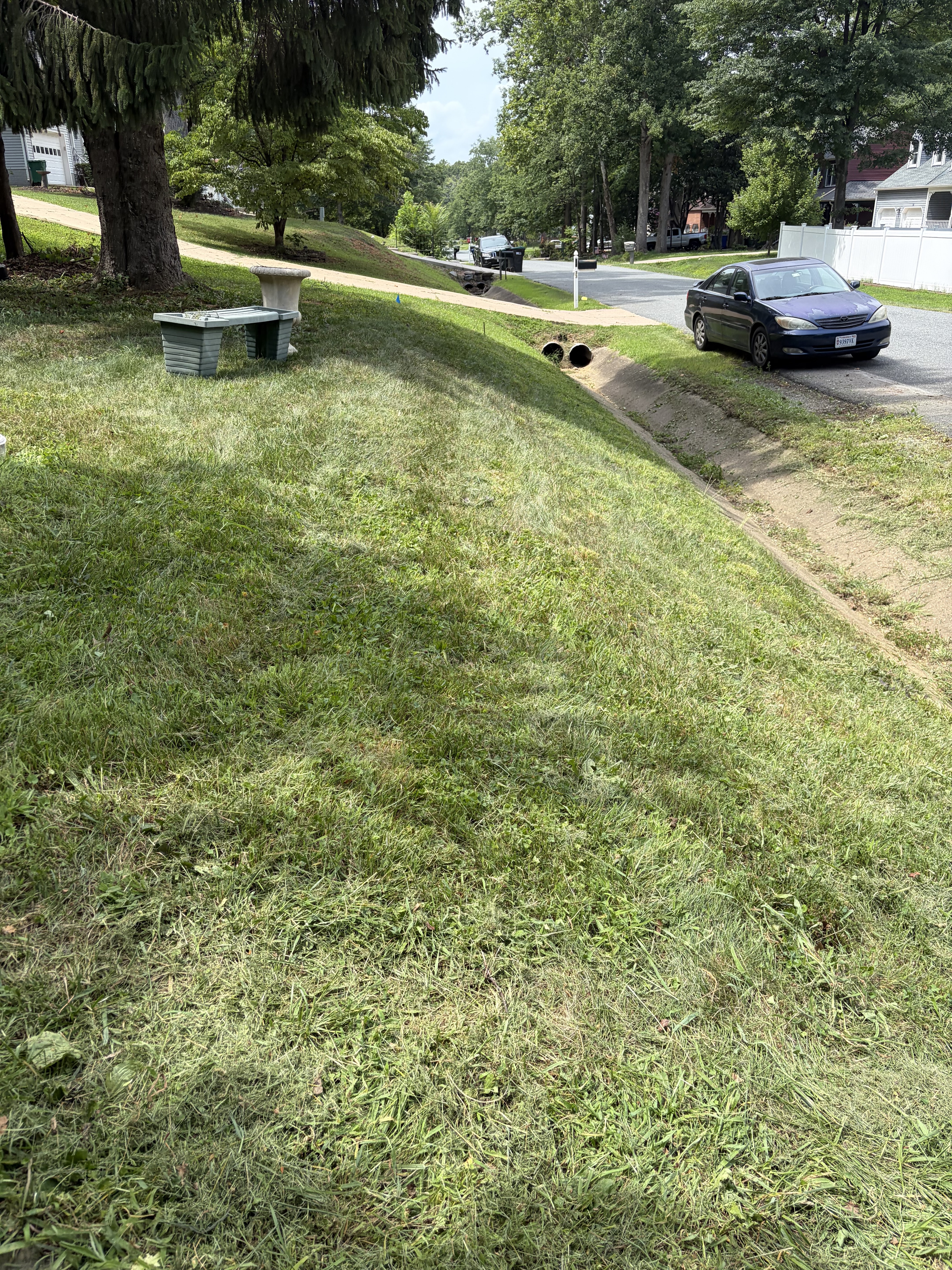 After lawn care