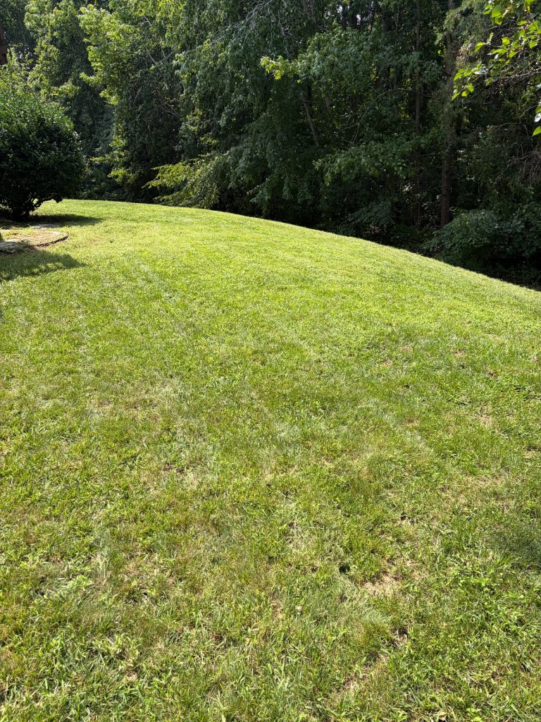 After lawn care