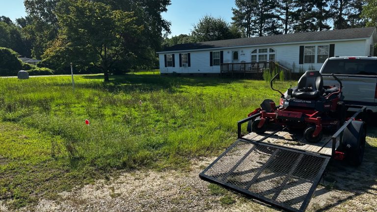 Before lawn care