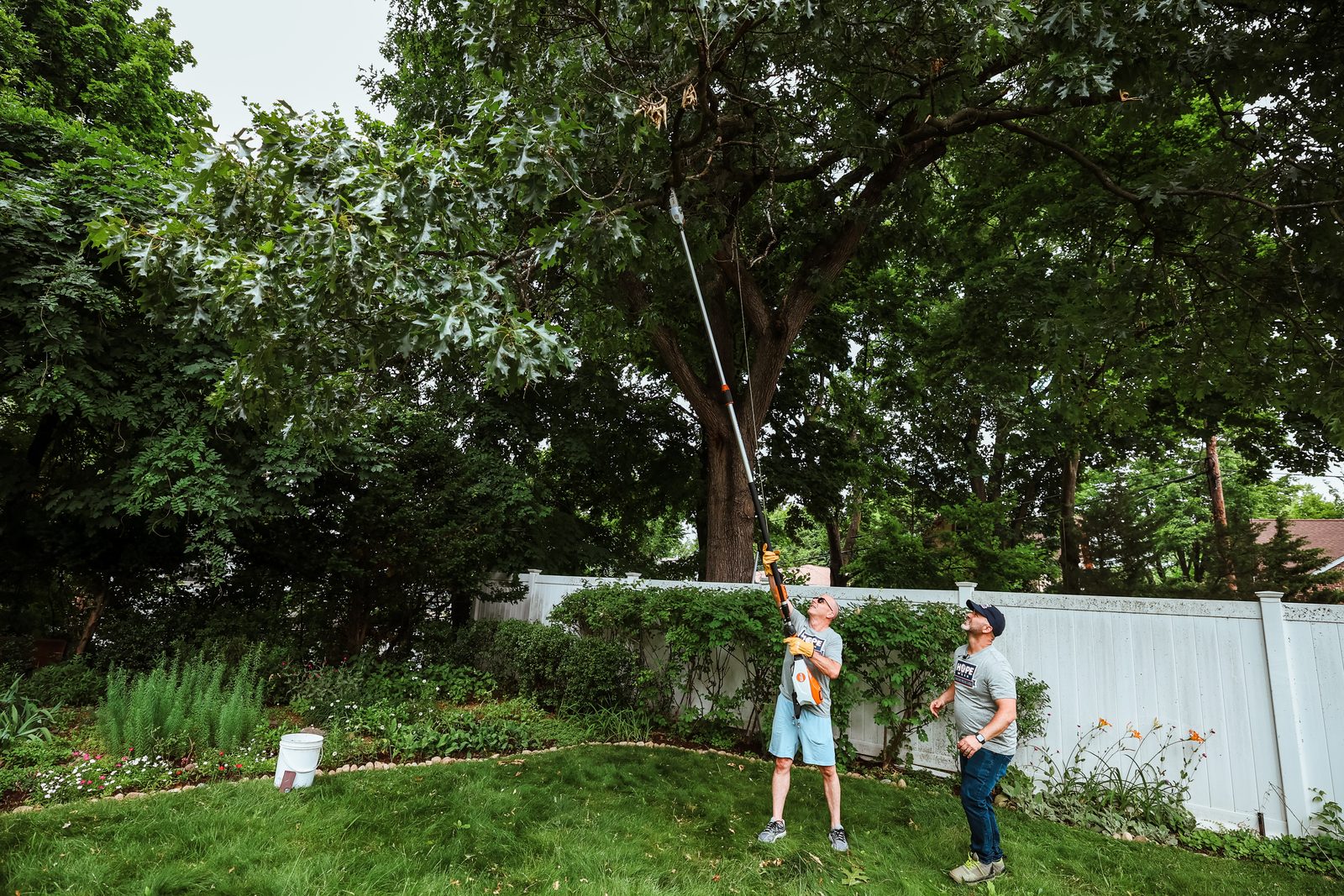Two volunteers use a long pole saw to cut a high branch from a tree at the back of the yard.