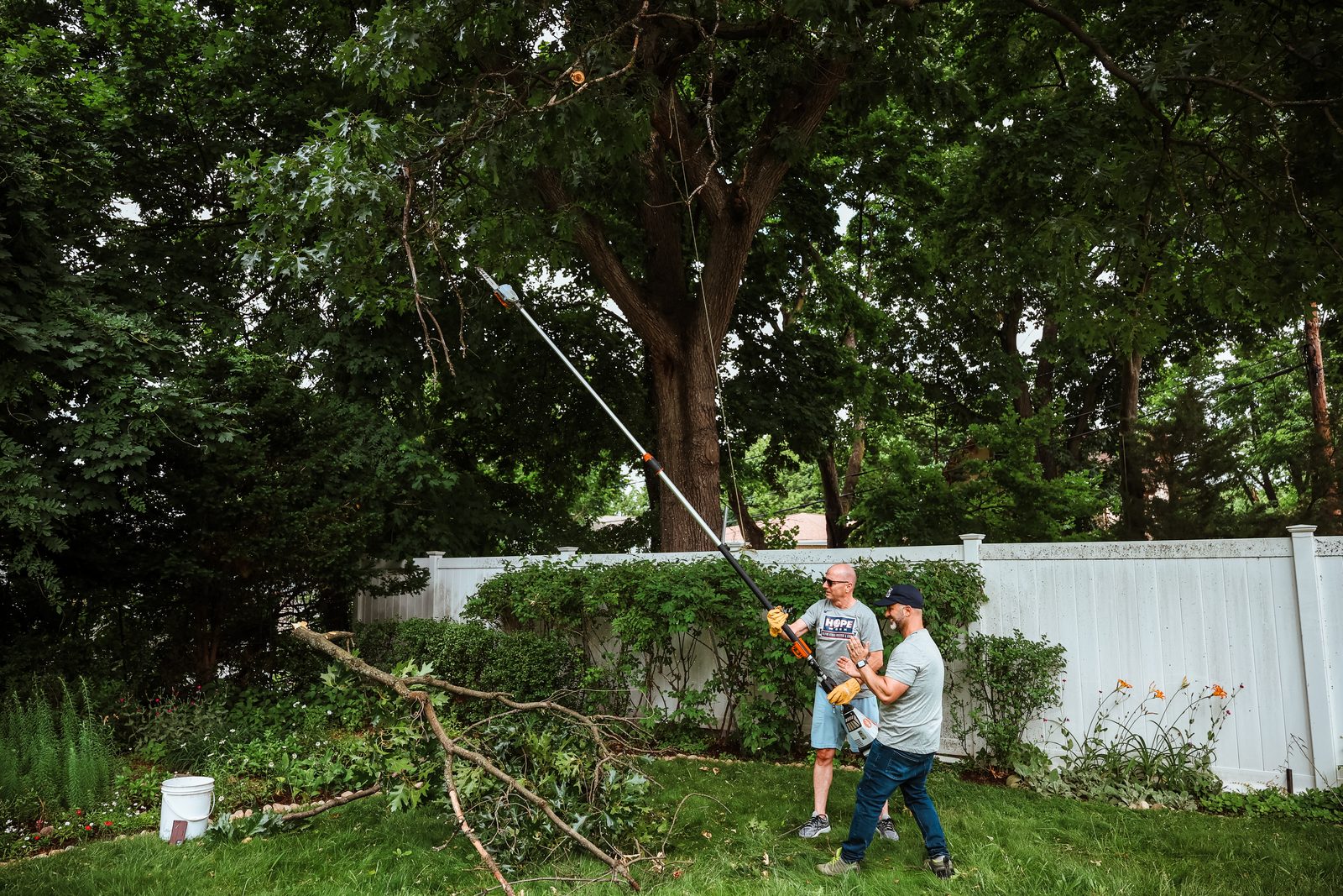 A cut tree branch lies on the grass as two volunteers keep trimming overhead with a pole saw.