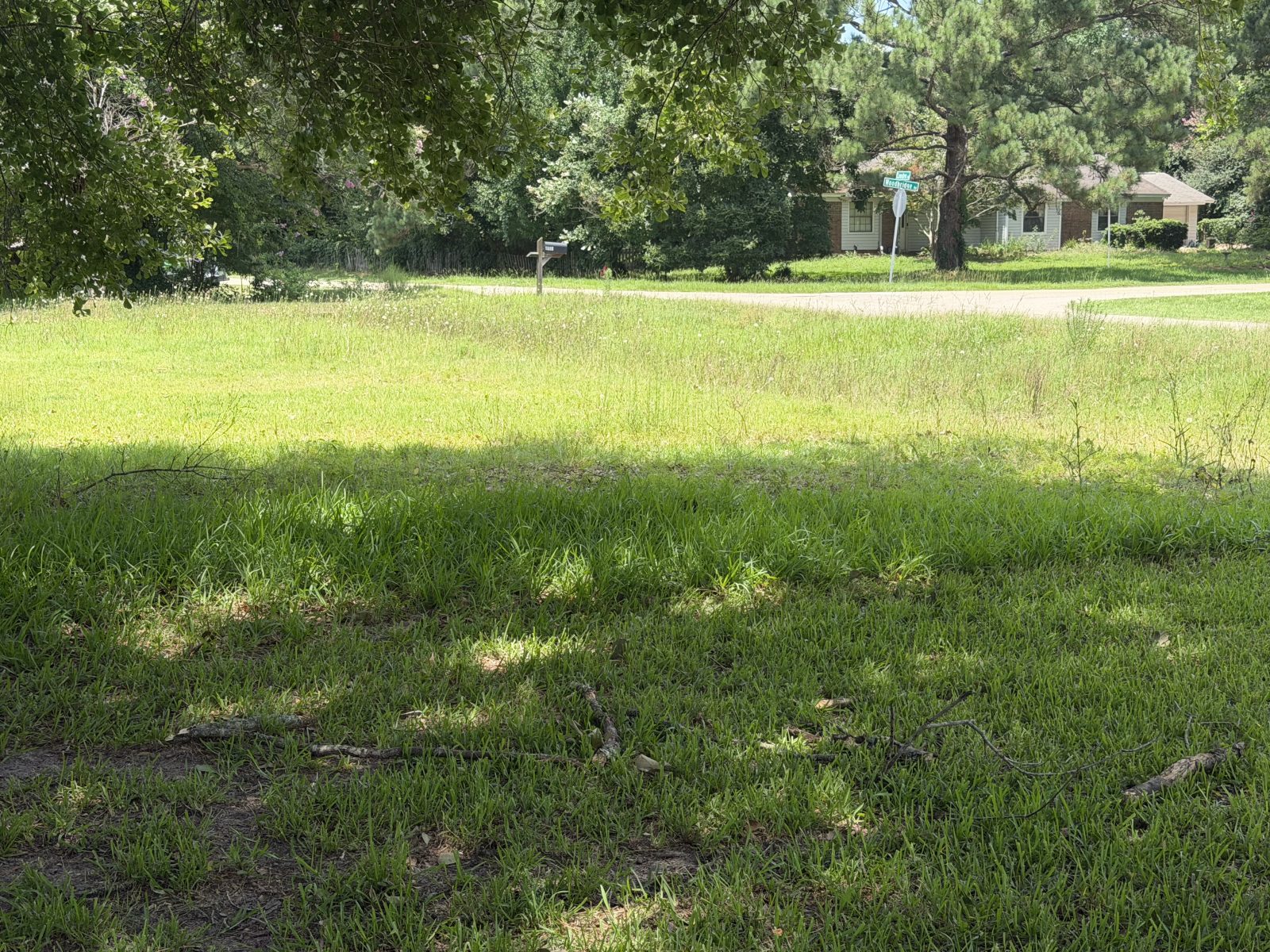 Privacy-protected yard photo submitted through Mow Notice in Tallahassee, FL