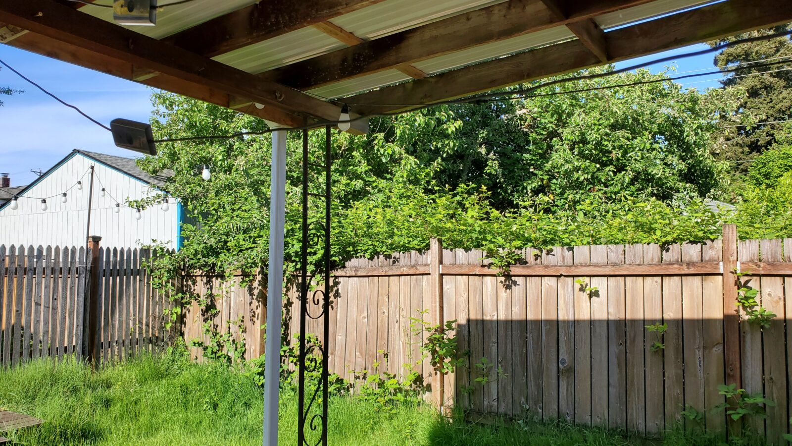 Privacy-protected yard photo submitted through Mow Notice in tacoma, WA