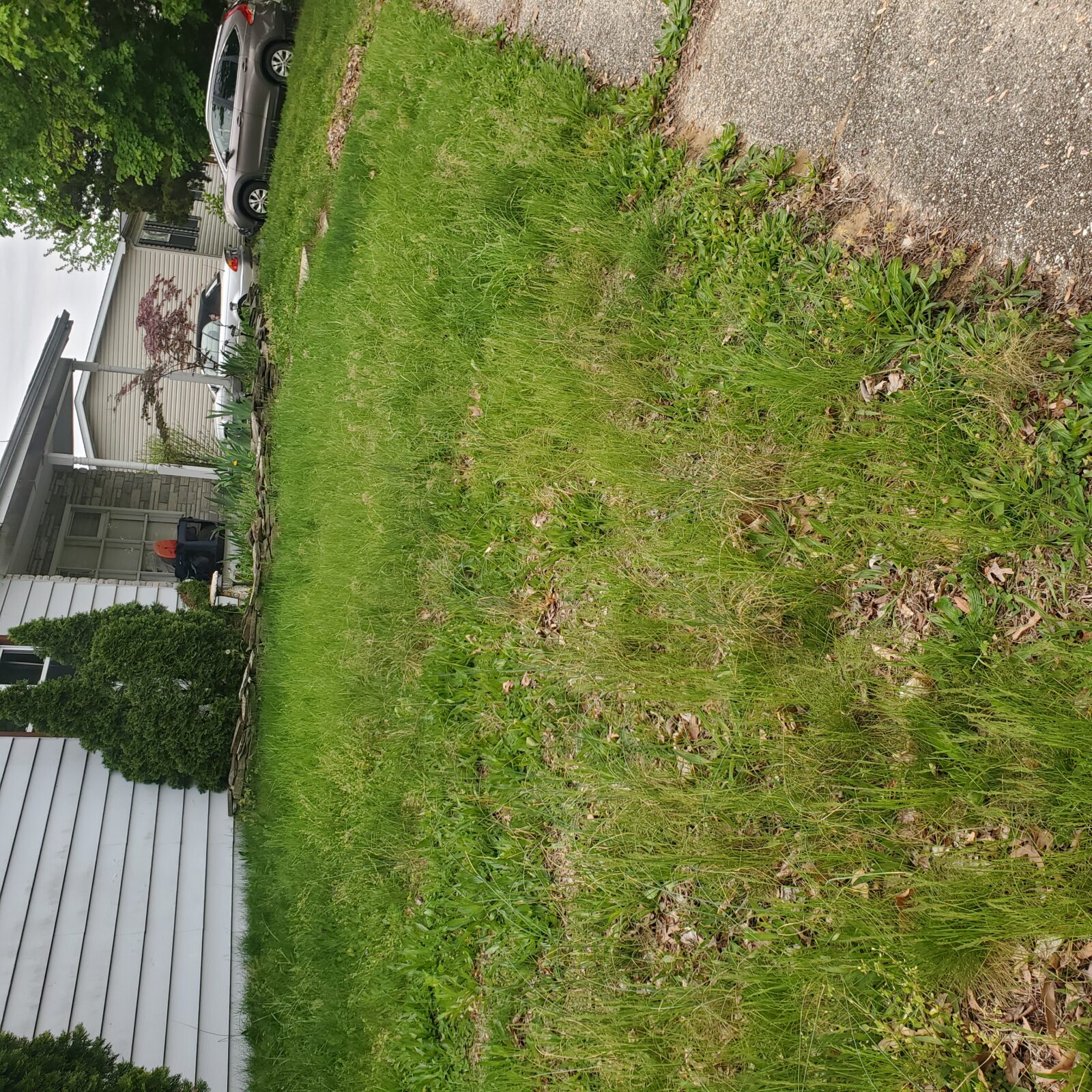 Privacy-protected yard photo submitted through Mow Notice in Burlington, NJ