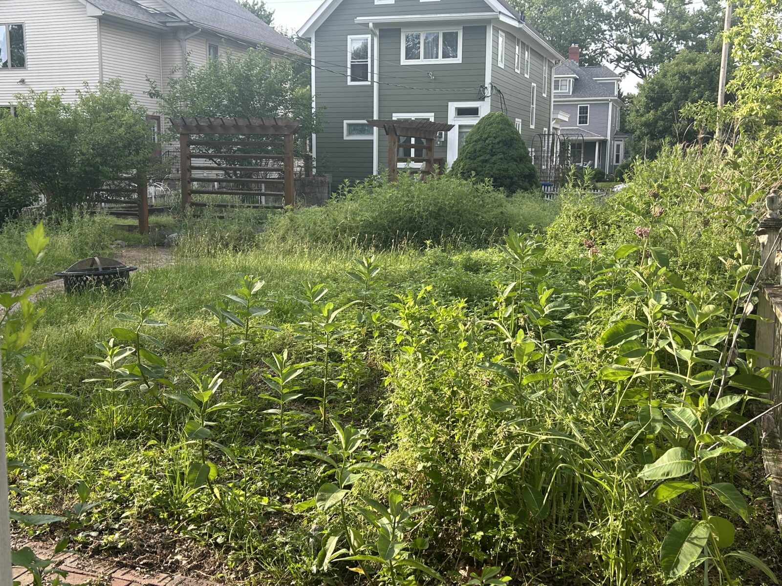 Privacy-protected yard photo submitted through Mow Notice in Westerville, OH