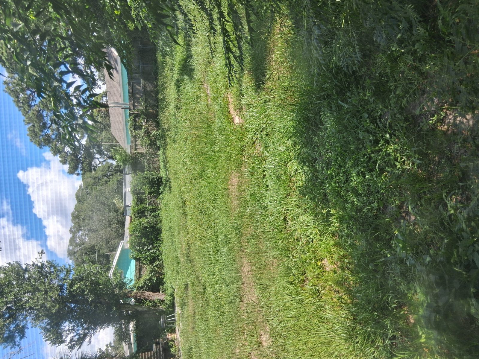 Privacy-protected yard photo submitted through Mow Notice in Jacksonville, FL